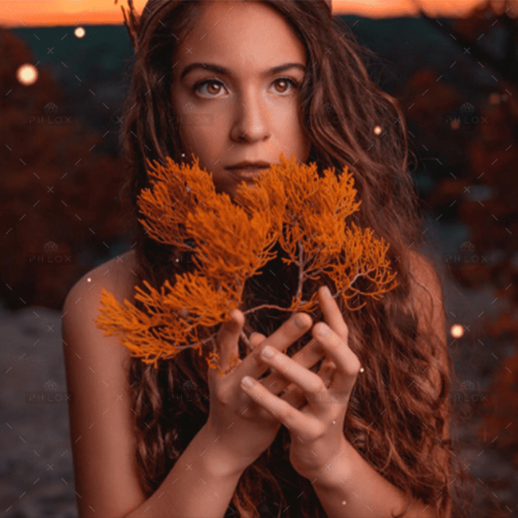 demo-attachment-897-5