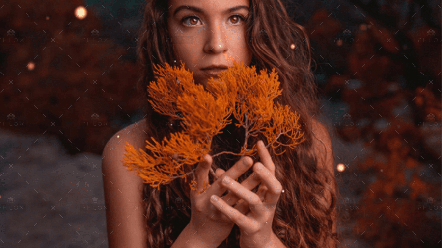 demo-attachment-897-5