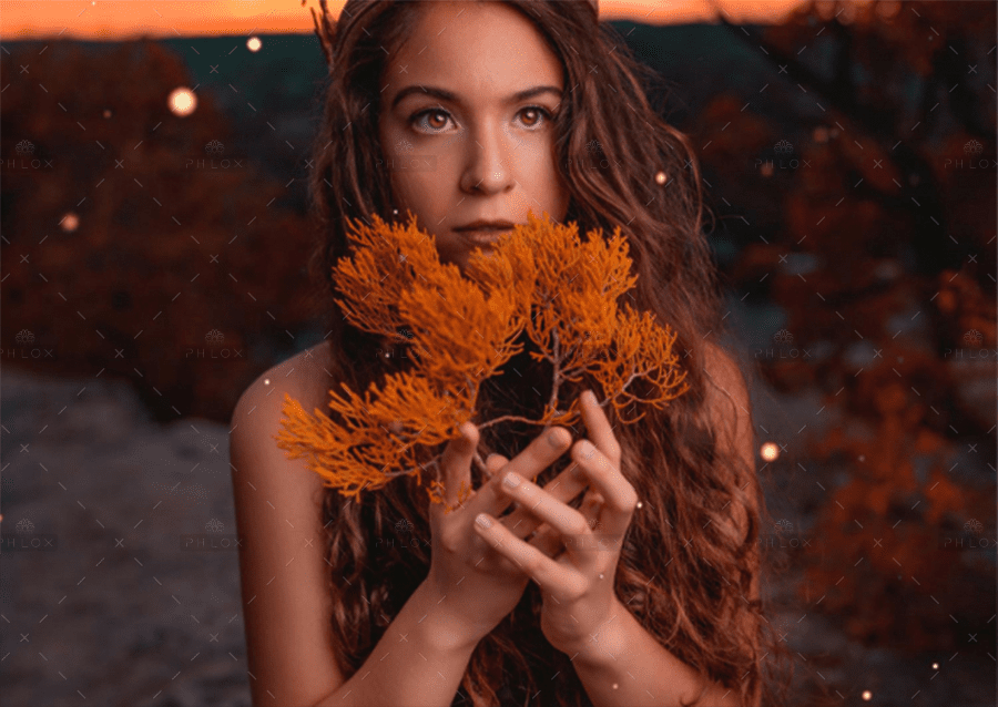 demo-attachment-897-5