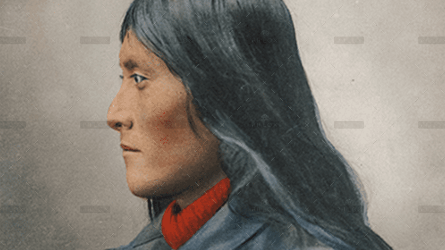 demo-attachment-1107-8