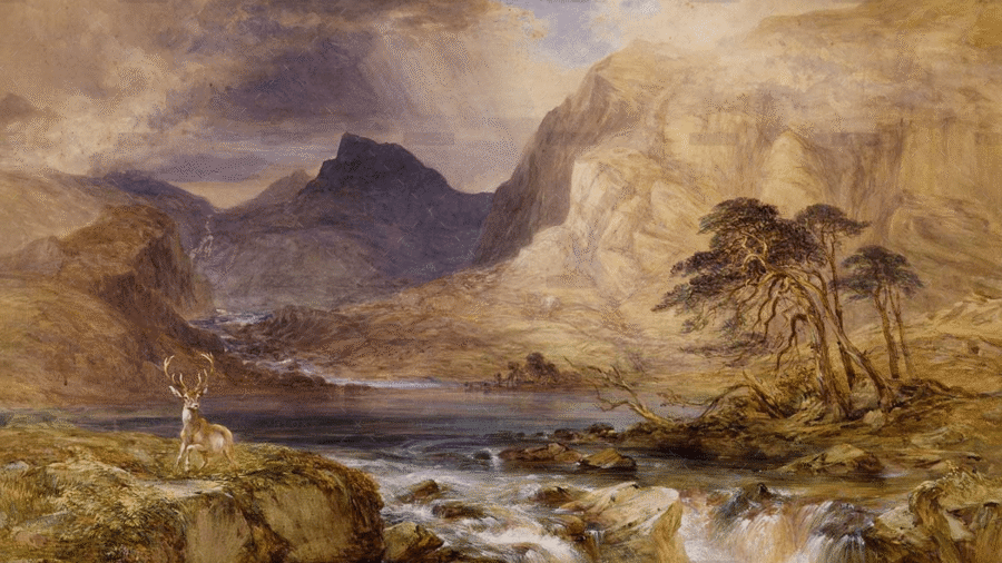 demo-attachment-1120-w-7-1